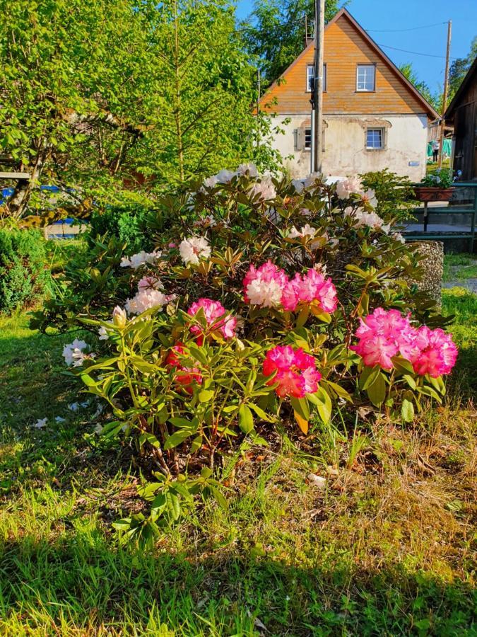 Locations Dupertuis Alsace Leilighet Le Hohwald Eksteriør bilde