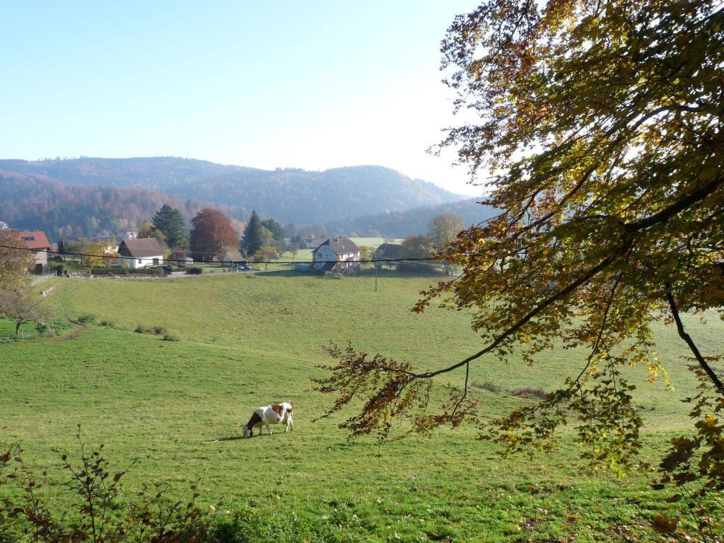 Locations Dupertuis Alsace Leilighet Le Hohwald Rom bilde
