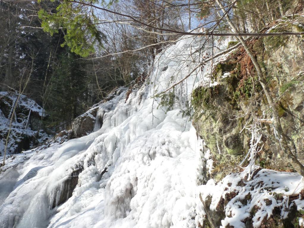 Locations Dupertuis Alsace Leilighet Le Hohwald Eksteriør bilde