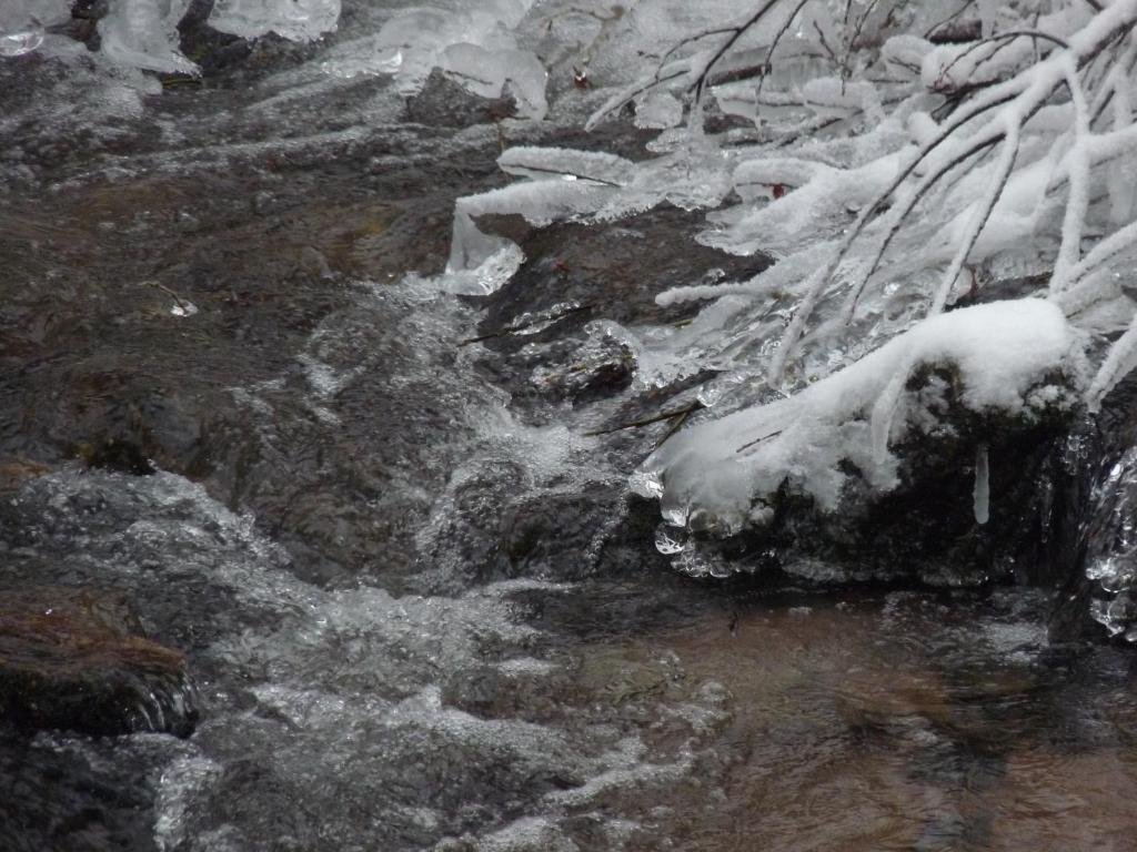 Locations Dupertuis Alsace Leilighet Le Hohwald Eksteriør bilde
