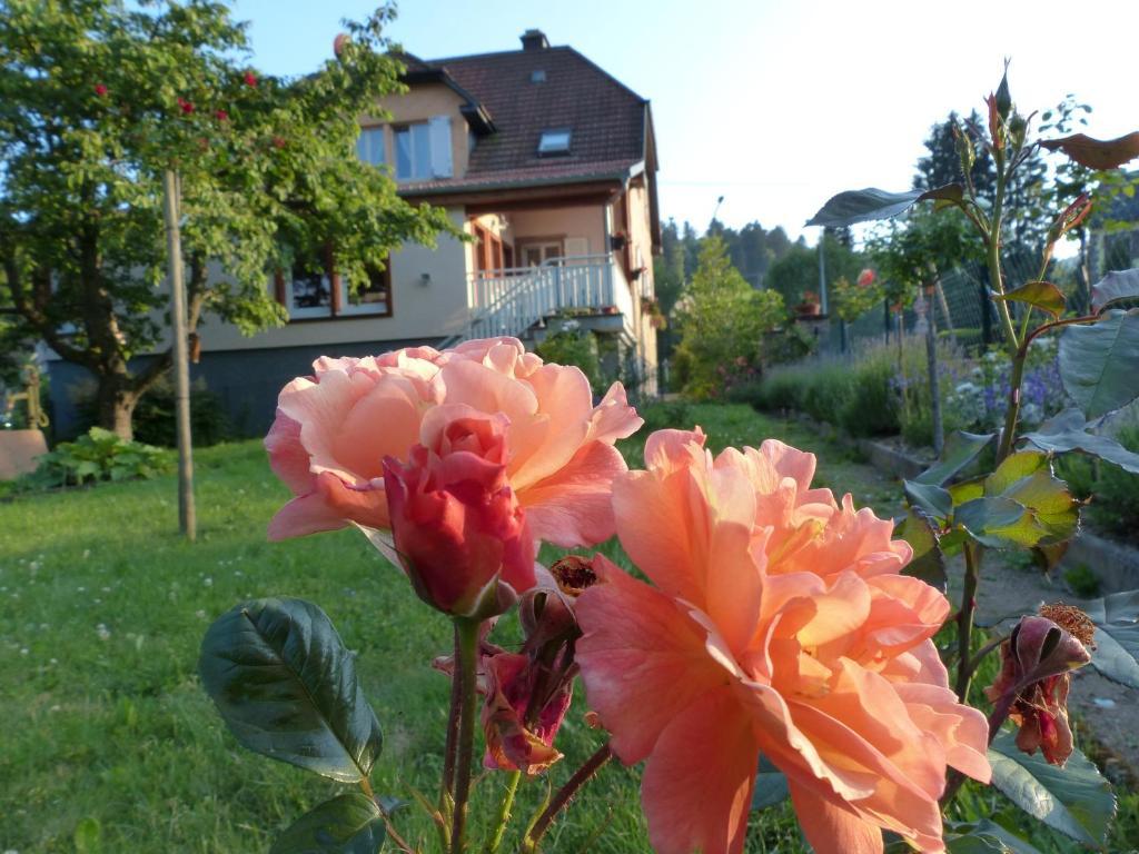 Locations Dupertuis Alsace Leilighet Le Hohwald Eksteriør bilde